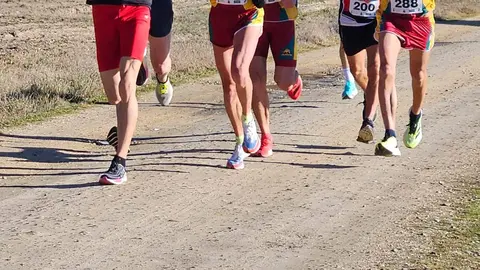 Vino Toro Caja Rural