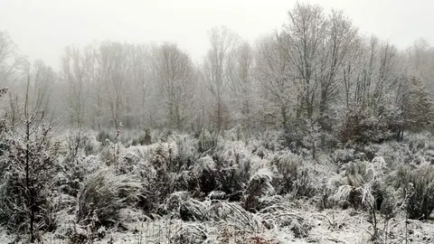 nieve sanabria. Imagen de archivo