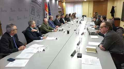 Consejo de Cooperación Local