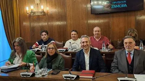 Grupo Socialista Diputación de Zamora 2024