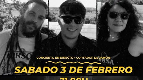 cartel concierto solidario