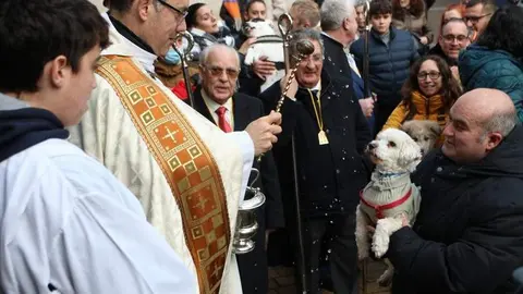bendición de animales _22