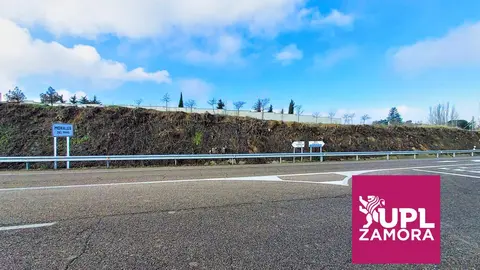 tala de árboles en Morales del Vino. UPL