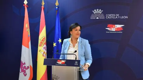 La secretaria de Organización  del PSOECyL, Ana Sánchez, en las Cortes