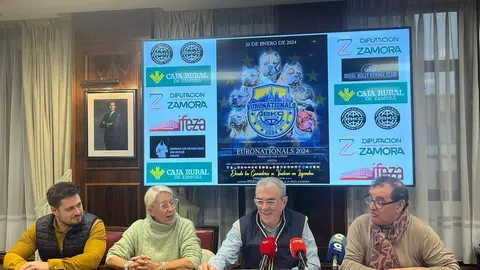 evento canino American Bully