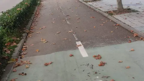 Carril bici (La Aldehuela) 2024