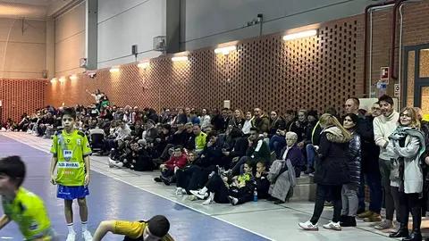 Cantera Balonmano Zamora