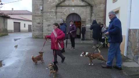 San Antón en Camarzana de Tera. Imagen cedida (1)