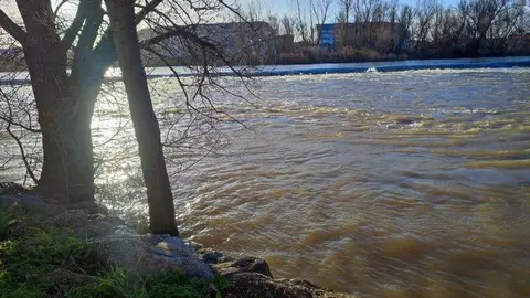 El Duero a su paso por Zamora (2)
