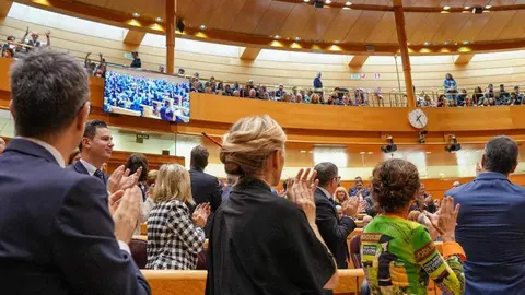 Pleno extraordinario del Congreso de los Diputados celebrado en el Senado