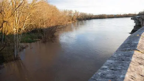 Subida del caudal del río Duero a su paso por Toro (1)