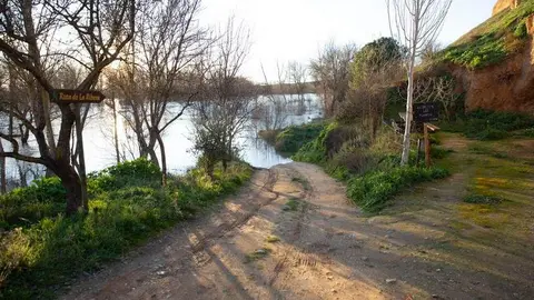Subida del caudal del río Duero a su paso por Toro (2)