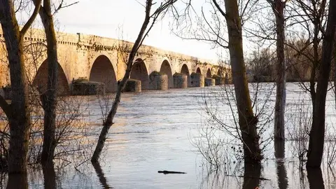 Subida del caudal del río Duero a su paso por Toro (5)