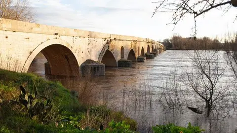 Subida del caudal del río Duero a su paso por Toro (6)
