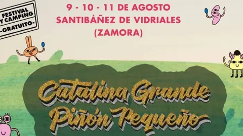 Cartel Valle Vivo Fest