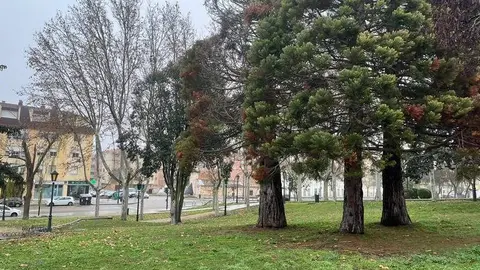 Parque de San Martín (2)