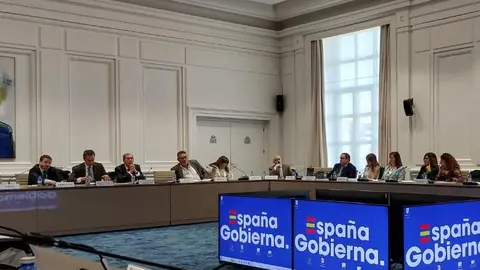 Reunión directores generales de Transporte con el MITMA
