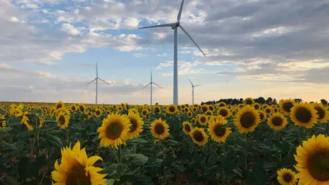 Parque eólico Carrasquillo en Castilla y León