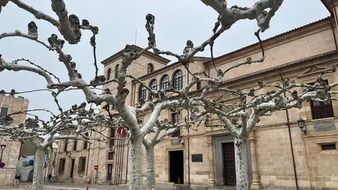 Diputación de Zamora (2)