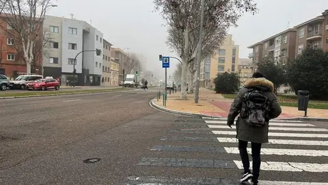 Niebla en Zamora (2)