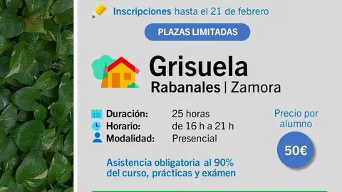 CartelCursoGrisuela