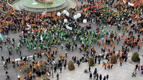 Concentración agricultores en Madrid