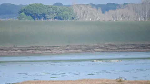 Visita al humedal de Bodón Blanco
