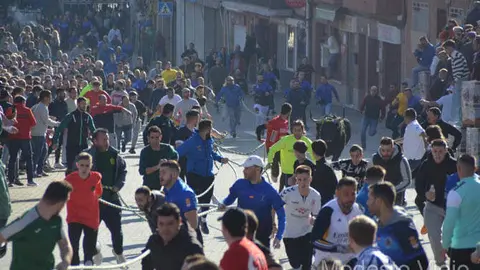 Recorrido del Toro Enmaromado de Yuncos. Fotografía: Interbenavente.es