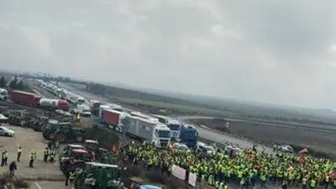 corte a6 agricultores