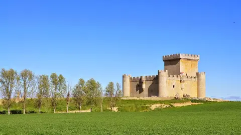 Castillo de Villalonso
