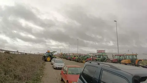 Tractorada benavente_3