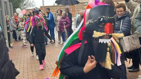 Carnaval colegio de las Viñas_15