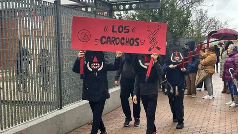 Carnaval colegio de las Viñas_20