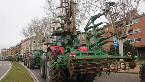 Manifestación 9 de febrero_8