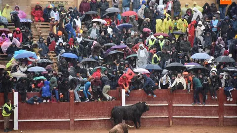 Carnaval del Toro vía Salamancartvaldia.es