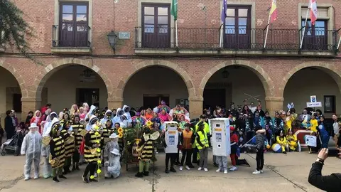 carnaval en Villanueva del Campo _6