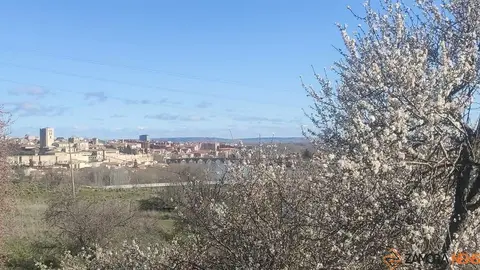 día soleado en Zamora 