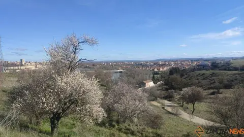 día soleado en Zamora _2