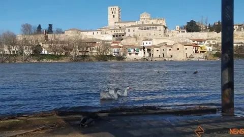 día soleado en Zamora _4