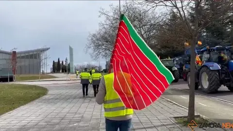 agricultores y ganaderos de Zamora presentes en la manifestación de Valladolid