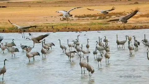 Proyecto Life IP Duero