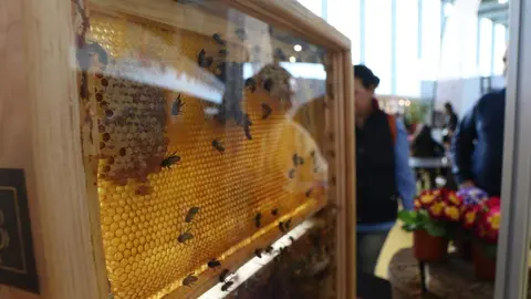 Feria Meliza 2024_40