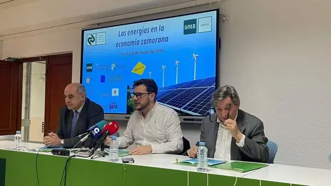 UNED  impacto económico de las energías