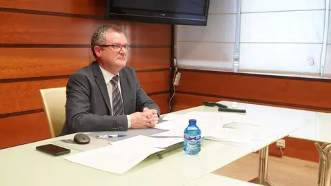 Consejo Consultivo telemático