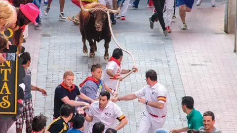 Toros revista, toro enmaromado