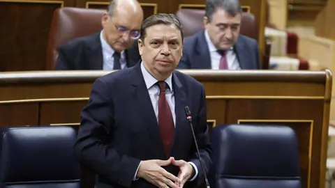 El ministro de Agricultura, Pesca y Alimentación, Luis Planas, durante su intervención