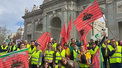 Algunos de los agricultores zamoranos presentes en la protesta en Madrid. Fotografía: CEDIDA, IMAGEN DE ARCHIVO