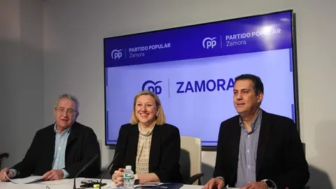 Los procuradores del Partido Popular de Zamora en las Cortes de Castilla y León, Isabel Blanco Llamas, Alberto Castro Cañibano y Oscar Reguera Acevedo