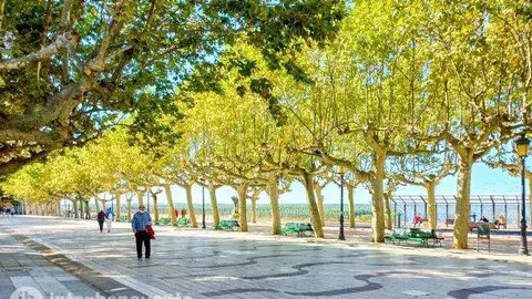 Los Paseos de la Mota. Fotografía: Interbenavente.es
