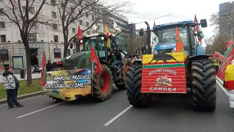 Manifestación 26 F Madrid. IMAGEN cecida